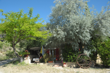 schattenes Ferienhaus im Sommer mit einem böhmischen Olivenbaum © Oustaou du Luberon